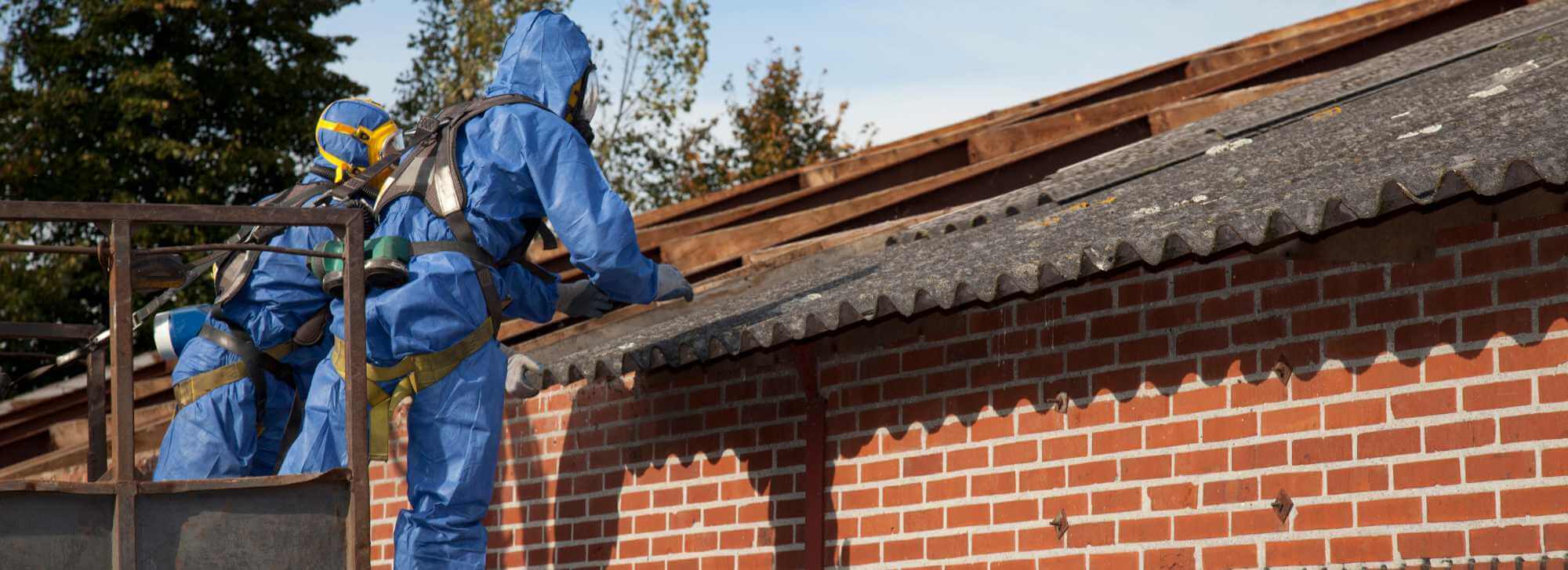 	Asbestos Inspection Near Me